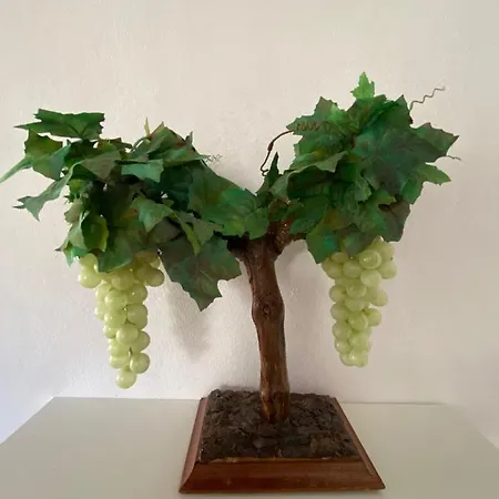 La Vendimia Apartman Jerez de la Frontera